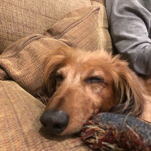 Meet your Posher, Leslie